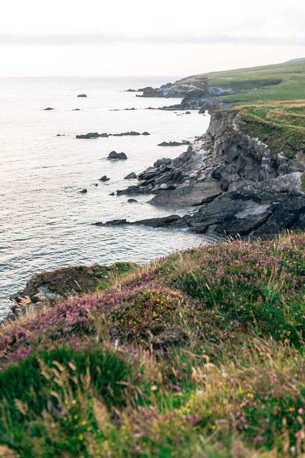 Dramatic, moody ocean views with hints of wild flowers at Dun Chaoin cliffs for luxury home decor wall art.
