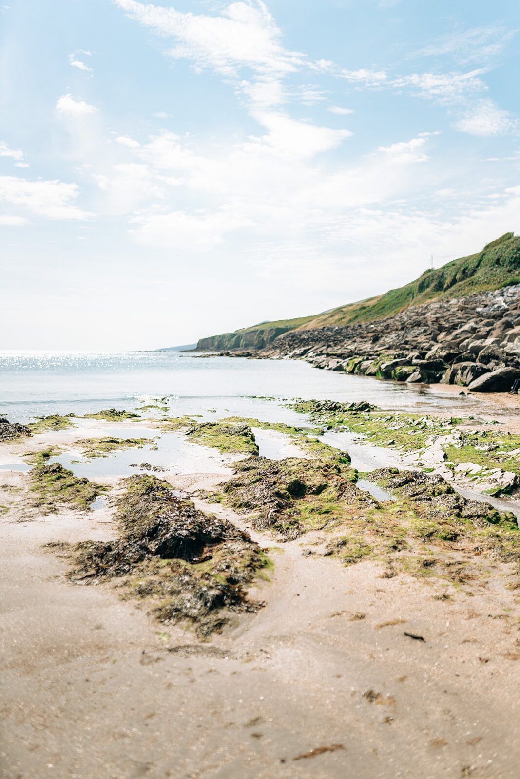 Mountain and ocean view with textures of moss and seaweed on the soft sands of Inch Beach in Ireland, a fine art landscape sneak peek.
